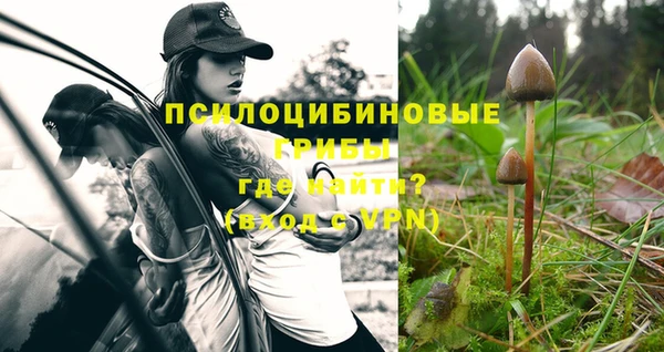 синтетический гашиш Кодинск