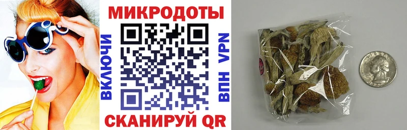 Псилоцибиновые грибы мицелий Мензелинск