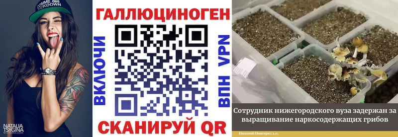 Галлюциногенные грибы Cubensis Купить где Мензелинск